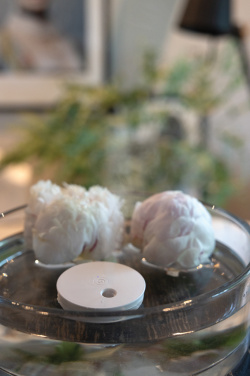 Логотрейд бизнес-подарки картинка: Breevia RCS rplasic перезаряжаемый плавающий увлажнитель воздуха