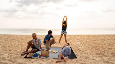 Логотрейд бизнес-подарки картинка: Lightweight large beach mat